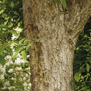 (©Marc - stock.adobe.com)