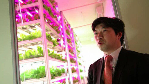 Shigeharu Shimamura ist sich sicher, dass sein Projekt dazu beiträgt, die weltweite Nahrungsmittelknappheit zu begegnen. (GE Lighting)