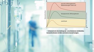 Fig. 1 : Représentation schématique des différentes concentrations d'antibiotiques dans le sang et de leurs effets. (Image :Shimadzu Allemagne ; ©sudok1 - stock.adobe.com)