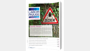 Whitepaper Cover: ä