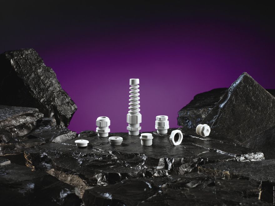 Presse étoupe.jpg ()