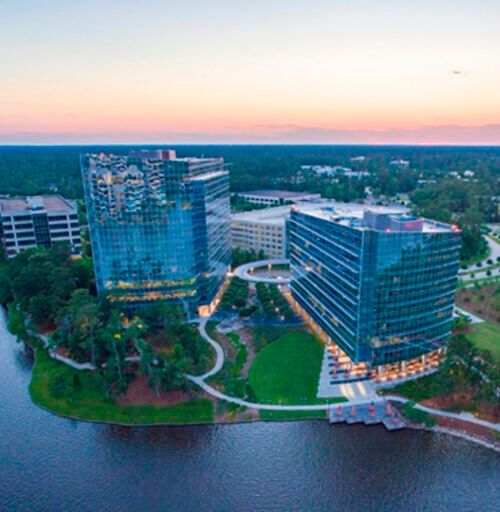 Shown is the Research Forest in The Woodlands, Texas, the planned future site of Bionova’s pDNA facility. 