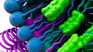 Lipide für mRNA-Impfstoffe und andere parenterale Anwendungen werden stark nachgefragt. (Evonik)