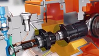 Orlita_Evolution_2 ()