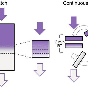 (Pall Life Sciences)