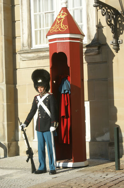 Alles, was wertvoll ist, braucht einen Wächter. Dieser steht vor dem königlichen Schloss in Kopenhagen.  (Archiv: Vogel Business Media)