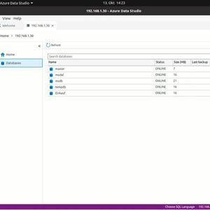 Azure Data Studio kann auch mit SQL-Servern auf Linux verbunden werden.(Bild:  Joos / Microsoft)