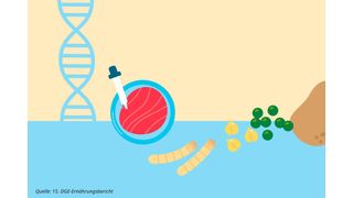 Es gibt zahlreiche neuartige alternative Proteinquellen, etwa In-vitro-Fleisch (Laborfleisch) oder pflanzenbasierte Proteine aus Hülsenfrüchten, die bereits in Drinks oder veganem Fleischersatz Einsatz finden. (Bild: DGE)