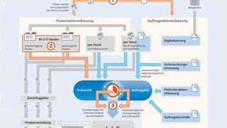 Das „Frankfurter Modell“ als grafische Darstellung (Bild: Dres. Walther, Weindel und Kollegen)