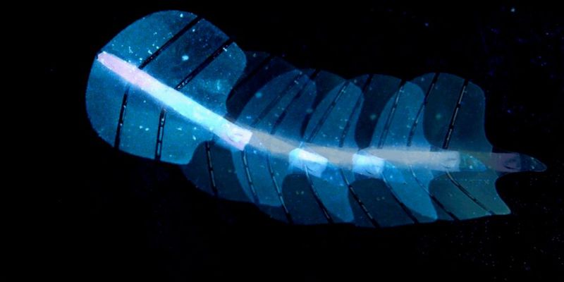 Die neuartigen künstlichen Muskeln bestehen aus einer Silikonmembran mit winzigen Poren, Wird die Membran in Wasser getaucht, bleiben Luftbläschen in den Poren eingeschlossen. Treffen Schallwellen auf diese Bläschen, beginnen sie zu schwingen und erzeugen eine gerichtete Strömung, die den Muskel bewegt. (Bild:  Shi Z et al. Nature 2025)