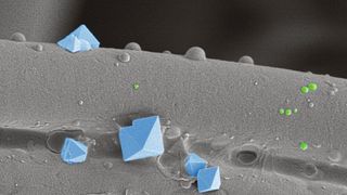 Nur wenige Viren schaffen es bis zur innersten Schicht einer Stoffmaske. Im Bild eine Textilfaser mit Salzkristallen (hellblau) und rund 100 Nanometer-grosse Viren (grün). (Rasterelektronenmikroskopie, nachkoloriert)  (Bild: Empa)