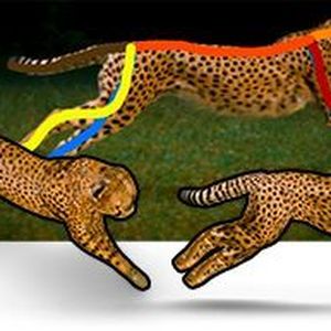 (Max-Planck-Institut für Informatik/MPI)