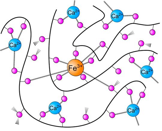 Schematische Darstellungen der Wechselwirkungen im Mineralplastik. Die geschwungene schwarze Linie entspricht dem Polyglutaminsäure-Rückgrat des Mineralplastiks.(Bild:  Avasthi et al. / CC BY 4.0)