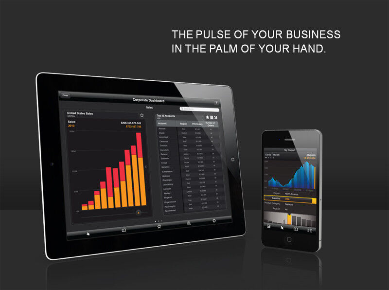 The Pulse of your Business in the Palm of your Hand - so das Motto von Roambi. (Archiv: Vogel Business Media)