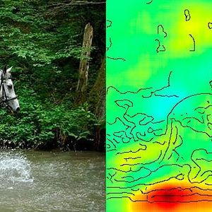 (Lothar Lenz/Nature Communications)