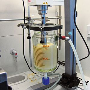 Die Kunst bei der Herstellung der wässrigen Beschichtungsdispersion besteht im richtigen Mischungsverhältnis der Wachse, Proteine und Additive sowie in der Reihenfolge ihrer Zugabe. (Bild:  Fraunhofer)