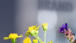 csm-umweltschutz-buehne-bd213d83d4 (BRAND GMBH + CO KG)