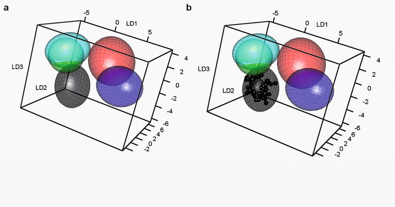Abb. 5: Ergebnisdarstellung der LDA: (a) Arrangement der Modeldaten dargestellt als Konvidenzellipsoide (95%). (b) Projektion der gemessenen 100 Endosporen-Spektren (schwarze Kugeln) in den durch das Model aufgespannten Raum. Farbkodierung: B. anthracis (schwarz), B. megaterium (rot), B. mycoides (grün), B. subtilis (blau), B. thuringiensis (cyan) (Bild: Friedrich-Schiller-Universität Jena)