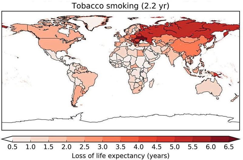 Durchschnittlich verlorene Lebenszeit durch verschiedene Risikofaktoren, bezogen auf das Jahr 2015: Rauchen (Tabak), 2,2 Jahre  © The Author(s) 2020. Published by Oxford University Press on behalf of the European Society of Cardiology , DOI: 10.1093/cvr/cvaa025  (Bild: Figure 4 / Münzel et al. / CC BY 4.0)
