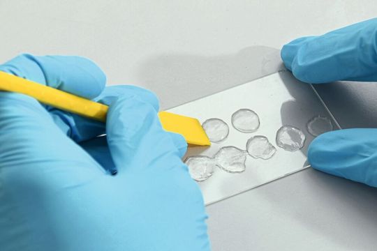 Gelatine aus Kaltwasserfischen wie Kabeljau, Seelachs und Schellfisch lässt sich mit wenigen Handgriffen so vernetzen, dass sie zu einem nicht-quellenden Hydrogel wird, das mit Hautzellen gemeinsam bedruckt werden kann.(Bild:  Empa)