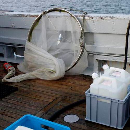 Sampling on the ship to study seawater from the North Sea. The seawater is filled into large canisters and cooled and brought back to the lab where the microcosm experiments are conducted. Sampling on the ship to study seawater from the North Sea. The seawater is filled into large canisters and cooled and brought back to the lab where the microcosm experiments are conducted.