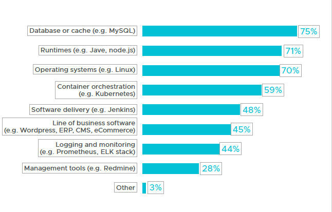 Abbildung 3: Da die Mehrheit der Unternehmen (70 Prozent) Open-Source-Betriebssysteme einsetzt, sind die Befragten gebeten worden, bei der Beantwortung der restlichen Fragen Betriebssysteme auszuschließen. (Bild: VMware)