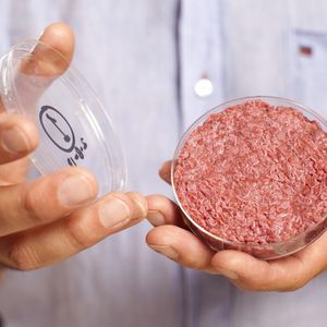 Bis Otto Normalverbraucher sich davon überzeugen kann, ob das Laborfleisch an "echtes" herankommt, dauert es noch ein paar Jahre.