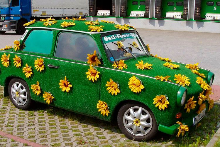 ...oder sonstige Verschönerungen. (Foto: gemeinfrei)