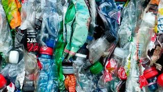Bioplastik aus Abfallfetten: Sebastian L. Riedel und Stefan Junne von der TU Berlin forschen daran, Kunststoffe aus Erdöl zu ersetzen – mit Hilfe von Bakterien. (gemeinfrei)