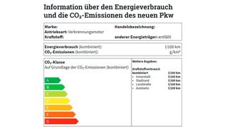 Pkw-Label (Muster) (Bild: DENA)