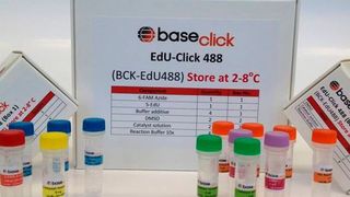 Die EdU-Zellproliferations-Kits von Baseclick werden von Sigma-Aldrich vertrieben. (Bild: Baseclick)