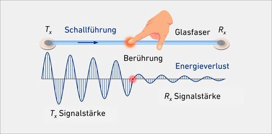 Die Wellenlänge in den Glasfasern verändert sich, sobald diese berührt oder gebogen werden. (Bild:  Yingqiang Wang / ETH Zürich)