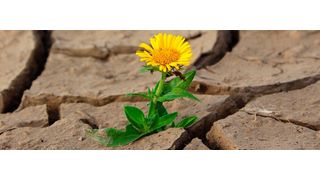 Auch im Cloud Computing schleichen sich alte Gewohnheiten ein. Mit diesen müssen Service Provider und ihre Kunden brechen; benötigt werden eine neue Kultur, Standardisierung und Automatisierung und Flexibilität und Schnelligkeit zu erlangen.  (klimkin auf Pixabay)