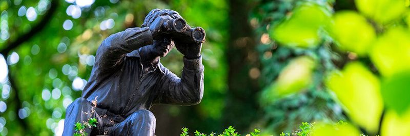 Ein umfassendes Monitoring von Cloud-Umgebungen ist notwendig, um zur allgemeinen Verbesserung der Performance und folglich auch des Geschäftswertes beizutragen.(Bild:  gemeinfrei© Oliver Kepka /  Pixabay)