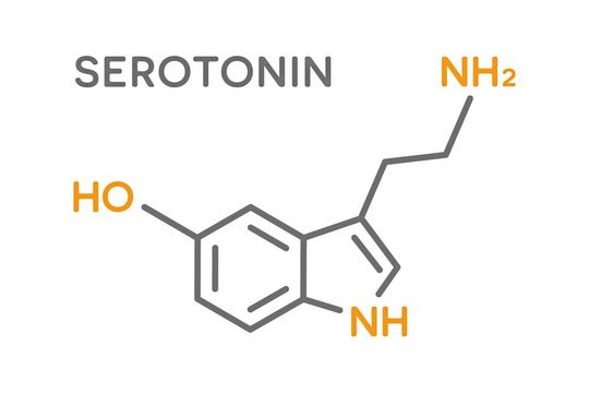 Einer aktuellen Studie zufolge können Serotonin-Wiederaufnahmehemmer, die zur Behandlung von Depressionen eingesetzt werden, auch das Wachstum von Tumoren bremsen. Einer aktuellen Studie zufolge können Serotonin-Wiederaufnahmehemmer, die zur Behandlung von Depressionen eingesetzt werden, auch das Wachstum von Tumoren bremsen.