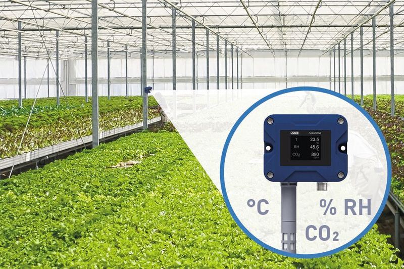 Der SPE-Sensor namens Hydrotrans S20 stammt aus dem Hause Jumo. Er misst Temperatur, Feuchtigkeit- und CO2-Werte direkt bei den Pflanzen.(Bild:  Jumo)