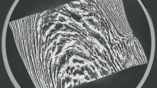 Der Fleischtextur auf der Spur: Die Mikrocomputertomographie (µCT) macht die Produktstruktur sichtbar.  (Patrick Wittek, KIT)