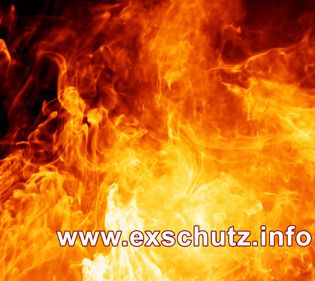 exschutzinfo_klein.jpg ()