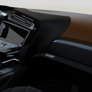 Eindrucksvolles Bauteilfinish: Diese Interior-Teile basieren zum Teil auf biofaserverstärkten Komponenten.