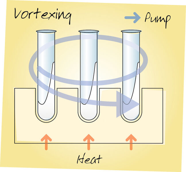 Abb.3: Funktionsweise der Vortex-Verdampfung (Bild: Genevac)