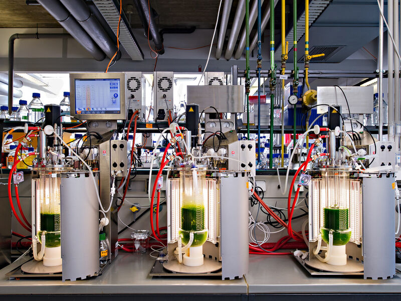 Laborbank mit LED-Biorekatoren (Bild: Andreas Heddergott / TU München)