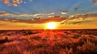 Südafrika bietet viel Platz und Sonne. Die Hauptstadt Kapstadt kommt auf rund 3.700 Sonnenstunden pro Jahr. (Bild: David Siu, CC BY 2.0, flickr.com)