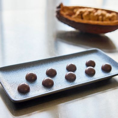 Food Brewer produziert Schokolade aus einzelnen Zellen der natürlichen Kakaobohne. Dazwischen liegt ein Prozess, der dem Bierbrauen ähnelt.
 (Bild: Endress+Hauser )