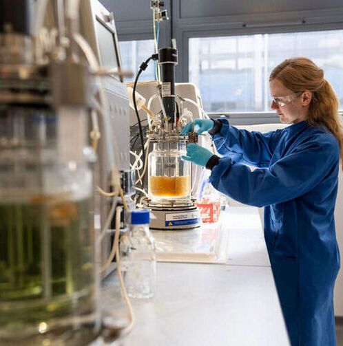 The labs at the University of Nottingham. The labs at the University of Nottingham.