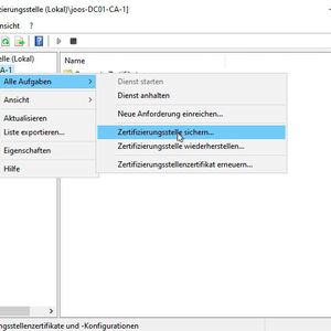 Sichern der Active-Directory-Zertifikatsdienste in der grafischen Oberfläche.(Bild:  Microsoft / Joos)