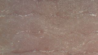 Purcell-Verbundplatte (Querschnitt), aufgebaut aus vier Gewebelagen. (Bild: ITCF)