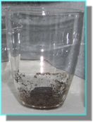 Abbildung 7 Megestrolacetat problemlos.jpg (CEM GmbH)