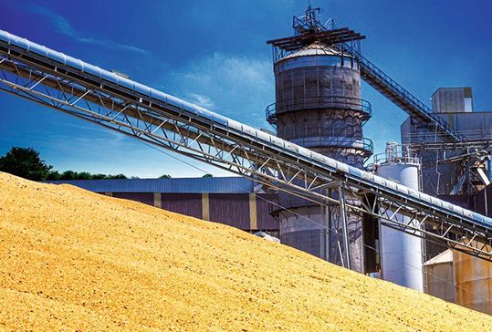 Die Messung der Feuchte spart Energie bei Trocknungsprozessen und erhöht die Ausbeute, da die Menge an Ausschuss reduziert wird. (Bild:  Berthold)