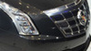 25321687 (Foto: Rehberg)