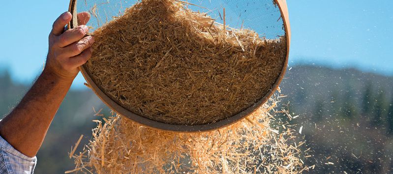 Beobachter rechnen damit, dass sich der Markt für IoT-Plattformen, in dem sich rund 450 Anbieter tummeln, schon bald konsolidieren wird.(Bild:  pavel1964 - stock.adobe.com)